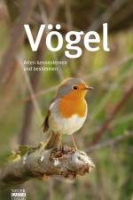 Vögel