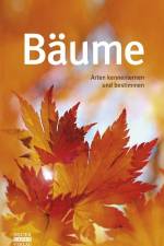 Bäume