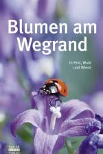 Blumen am Wegrand