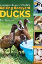 An Absolute Beginner's Guide to Raising Backyard Ducks af Gail Damerow