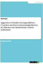 Aggressives Verhalten bei Jugendlichen. Ursachen und Interventionsmöglichkeiten bei Klienten des Kinderheims Schloss Schlotheim af Anonymous