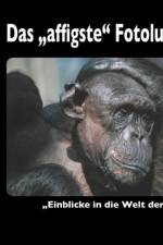 Das 