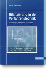 Bilanzierung in der Verfahrenstechnik af Anja R. Paschedag