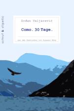 Como. 30 Tage. af Srdan Valjarevic