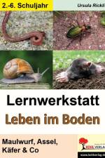 Lernwerkstatt Leben im Boden af Ursula Rickli