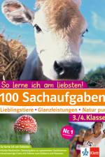 100 Sachaufgaben 3./4. Klasse