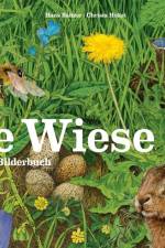 Die Wiese af Hans Baltzer
