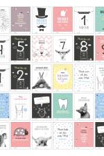 40 Baby Meilenstein-Karten für das 1. Lebensjahr für Mädchen und Junge. Baby Milestone Cards deutsch, zur Erinnerung der Entwicklung der ersten Monate. Geschenk-Set inkl. Box zur Aufbewahrung. Geschenkidee zur Geburt, Schwangerschaft, Taufe oder Baby Show af Sophie Heisenberg