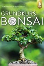 Grundkurs Bonsai af Elodie Marconnet