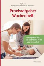 Praxisratgeber Wochenbett af Birgit Laue
