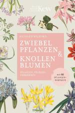 Zwiebelpflanzen & Knollenblumen af Richard Wilford