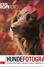 Hundefotografie af Anne Geier