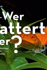 Wer flattert hier af Rainer Ulrich