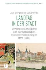 Landtag in der Stadt af Jan Bergmann-Ahlswede