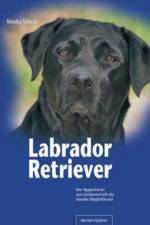 Labrador Retriever af Monika Schwab
