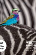 Wildlife Photographer of the Year: Desk Diary 2024