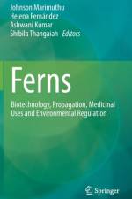 Ferns