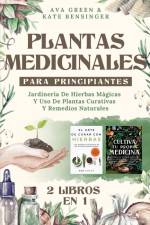 Plantas Medicinales Para Principiantes
