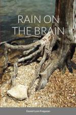 RAIN ON THE BRAIN af Daniel Ferguson