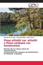 Pinus elliottii var. elliottii x Pinus caribaea var. hondurensis af Marcelo de la Vega