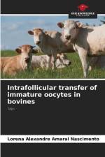 Intrafollicular transfer of immature oocytes in bovines af Lorena Alexandre Amaral Nascimento
