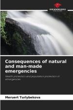 Consequences of natural and man-made emergencies af Meruert Turlybekova