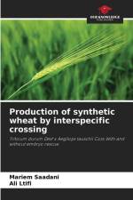 Production of synthetic wheat by interspecific crossing af Mariem Saadani
