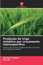 Produção de trigo sintético por cruzamento interespecífico af Mariem Saadani