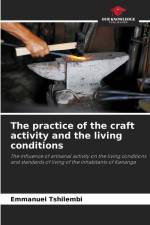 The practice of the craft activity and the living conditions af Emmanuel Tshilembi