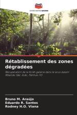 Rétablissement des zones dégradées af Bruno M. Araújo
