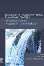 Development in Wastewater Treatment Research and Processes af Maulin P Shah