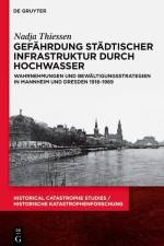 Gefährdung städtischer Infrastruktur durch Hochwasser af Nadja Thiessen