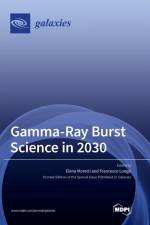 Gamma-Ray Burst Science in 2030