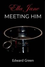 Meeting Him af Edward A. Green