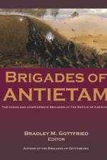 Brigades of Antietam af Bradley Gottfried