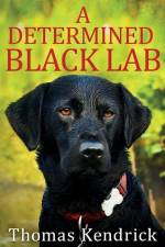 A Determined Black Lab af Thomas Kendrick