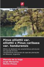 Pinus elliottii var. elliottii x Pinus caribaea var. hondurensis af Marcelo de la Vega