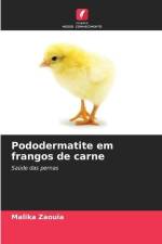 Pododermatite em frangos de carne af Malika Zaouia
