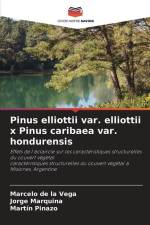 Pinus elliottii var. elliottii x Pinus caribaea var. hondurensis af Marcelo de la Vega