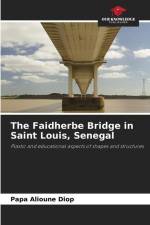 The Faidherbe Bridge in Saint Louis, Senegal af Papa Alioune Diop