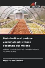 Metodo di essiccazione combinato utilizzando l'esempio del melone af Mansur Radzhabow