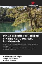 Pinus elliottii var. elliottii x Pinus caribaea var. hondurensis af Marcelo de la Vega