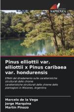 Pinus elliottii var. elliottii x Pinus caribaea var. hondurensis af Marcelo de la Vega