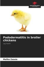 Pododermatitis in broiler chickens af Malika Zaouia