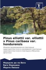 Pinus elliottii var. elliottii x Pinus caribaea var. hondurensis af Marcelo de la Vega