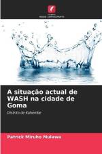 A situação actual de WASH na cidade de Goma af Patrick Miruho Mulawa