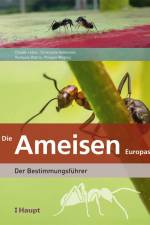 Die Ameisen Europas af Claude Lebas