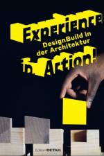 Experience in Action