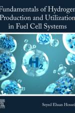 Fundamentals of Hydrogen Production and Utilization in Fuel Cell Systems af Seyed Ehsan Hosseini