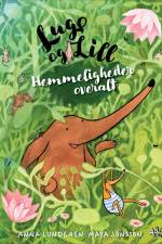 Hemmeligheder overalt af Anna Lundgren